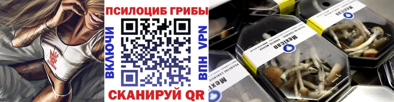 Псилоцибиновые грибы GOLDEN TEACHER  как найти наркотики  Старая Купавна 